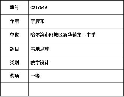 李彦东 雪地足球.jpg